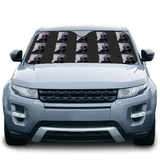 Disneys Peter Pan Tick Tock Croc Skull Rock Shoreline Car Sun Shades