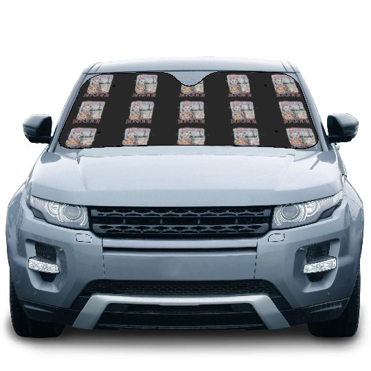 Disney The Aristocats Bonjour Paris Since 1979 Vintage Ad gifts  Car Sun Shades