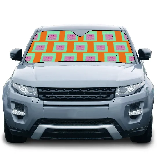 Discover Taylor Eras Tour Chicago VIP Poster Car Sun Shades