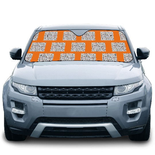 DCP Disneyland Blanket, Disney College Program gift,  Disney College Blanket, Cast Member Blanket Car Sun Shades