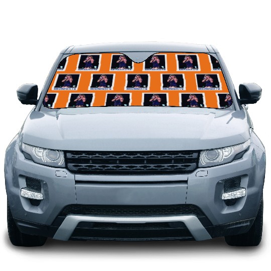 Discover Midnights Poster - Taylor Car Sun Shades