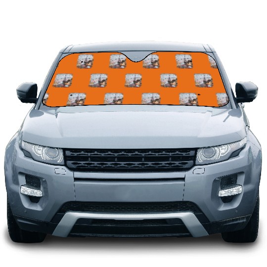 Disneyland Paris Mickey Car Sun Shades, Eiffel Tower Mickey Car Sun Shades