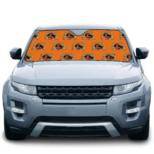 Moana Car Sun Shades, Disney Moana Car Sun Shades, Disney Moana Princess Car Sun Shades
