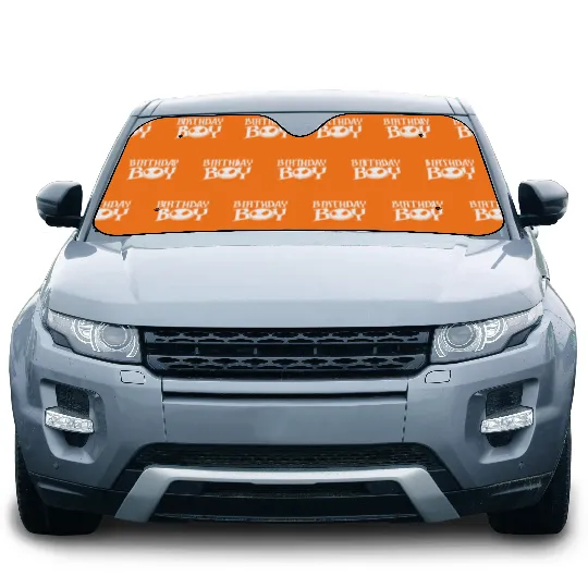 disneys The Nightmare Before Christmas Birthday Boy Car Sun Shades