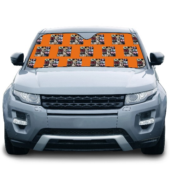 Discover Taylor The Eras Tour Car Sun Shades, Taylor version Eras Tour Car Sun Shades