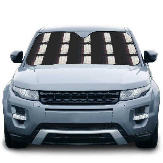 Disney Big Hero 6 TV Series Baymax Excuse Me Graphic Car Sun Shades