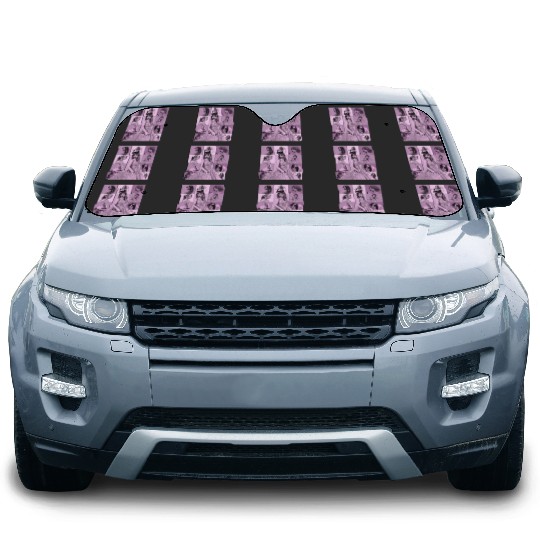 Discover Speak Now Eras Tour Active Car Sun Shades