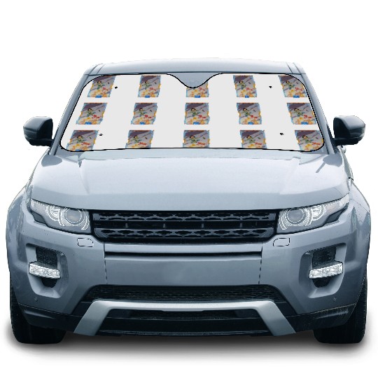 Disneys Mulan Car Sun Shades