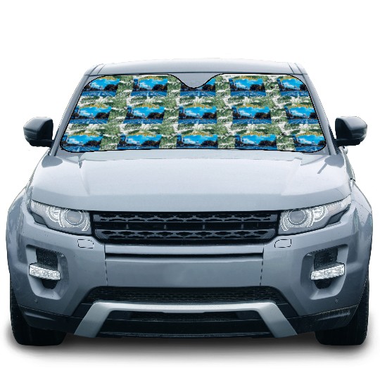 Washington DC Car Sun Shades