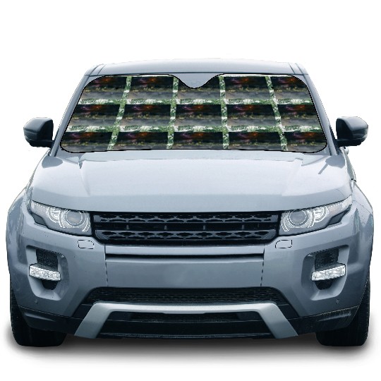 Storm and Whales with a Biblical Scipture Car Sun Shades