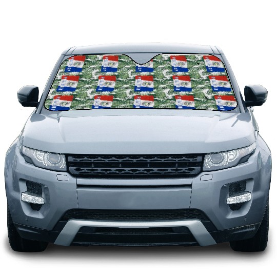 Paraguay Flag Car Sun Shades