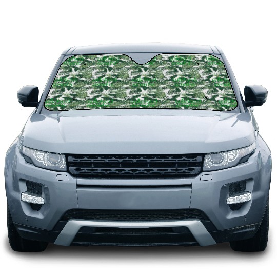Wicked Smaht Irish Boston Car Sun Shades