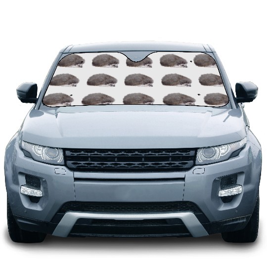 Sweet hedgehog Car Sun Shades