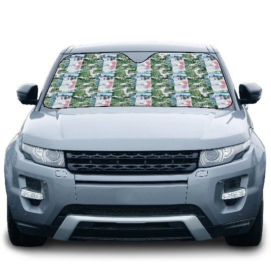 Winter Car Sun Shades