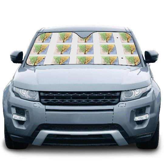 Four Seasons Trees Car Sun Shades