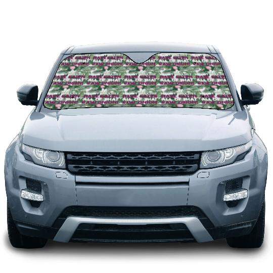 Maybe I Shouldn T Have Eaten All of That Raw Onion Car Sun Shades