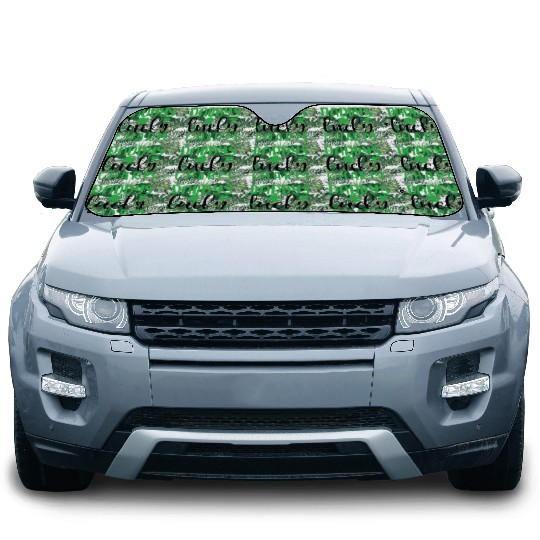 Daddy's Lucky Charm St. Patrick's Day Kids Boy Car Sun Shades