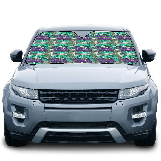 little mister mardi gras great Gift fo boys & men Car Sun Shades