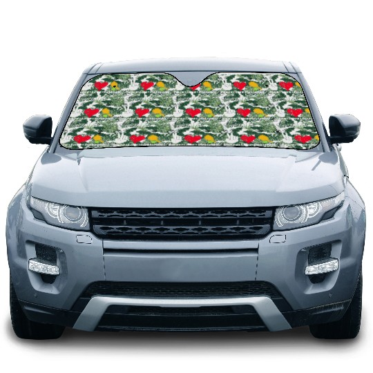 Paddleball Sports Mom Dad Retirement Peace Love Pi Car Sun Shades