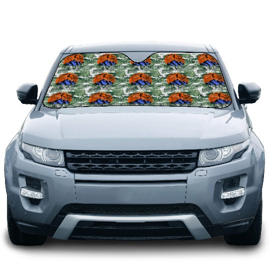 Peak Witchcraft Mountain Witch Car Sun Shades
