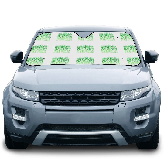Saint Patrick's Day Houston Texas Car Sun Shades