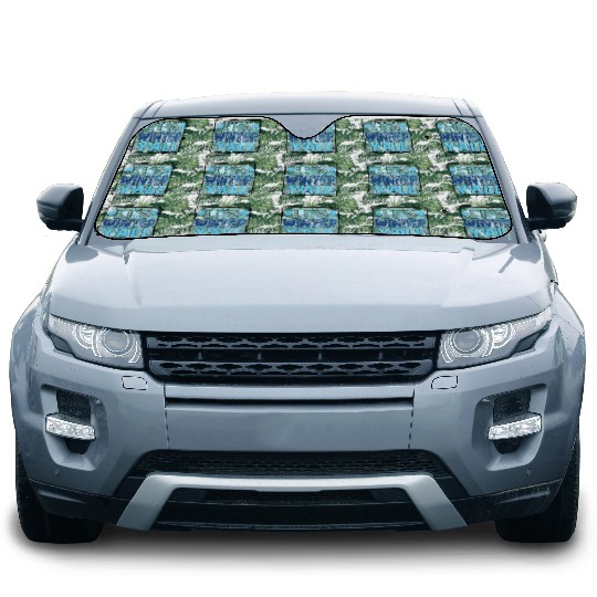 It s winter Car Sun Shades
