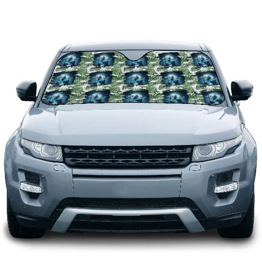 A storm in a glass with a ship Car Sun Shades