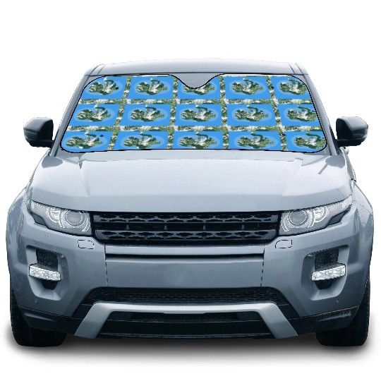 Baby Ultrasound Medical Doctor Car Sun Shades