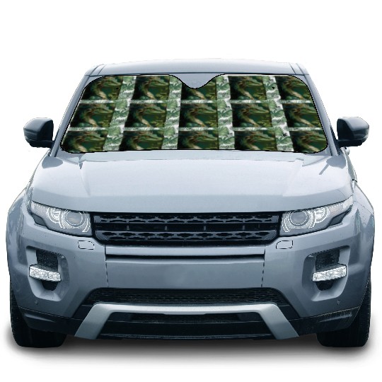green dragon Car Sun Shades
