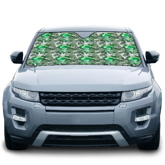 Let The Shenanigans Begin! Irish Raccoon Car Sun Shades