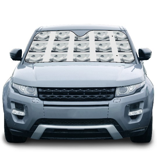 "Tranquil Monochrome Horizon" Car Sun Shades