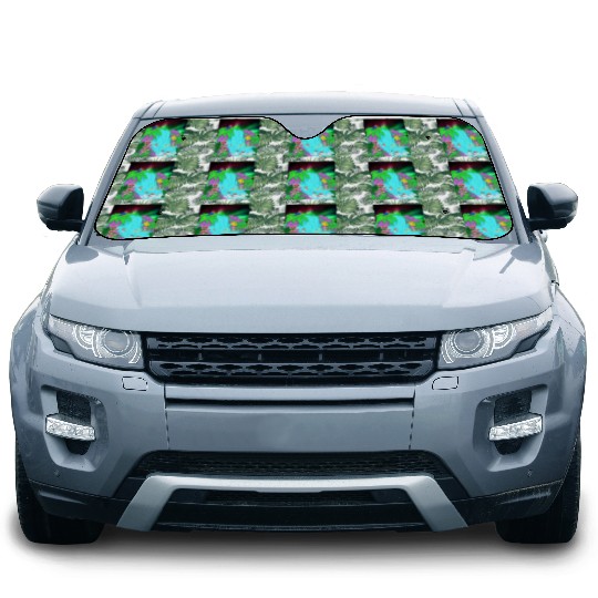 Northern Lights Waterfall Serenity with Swimmers Car Sun Shades