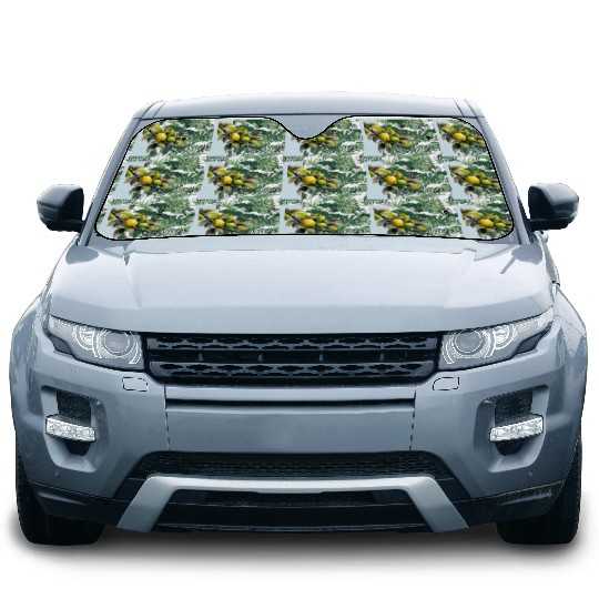 Green and yellow lemon Car Sun Shades