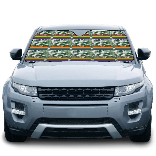 Washington DC Gay Pride Parade Rainbow Flag Car Sun Shades