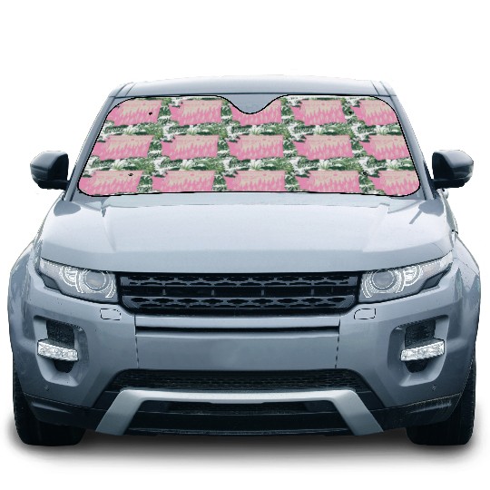 Washington DC Wild Outline State Car Sun Shades