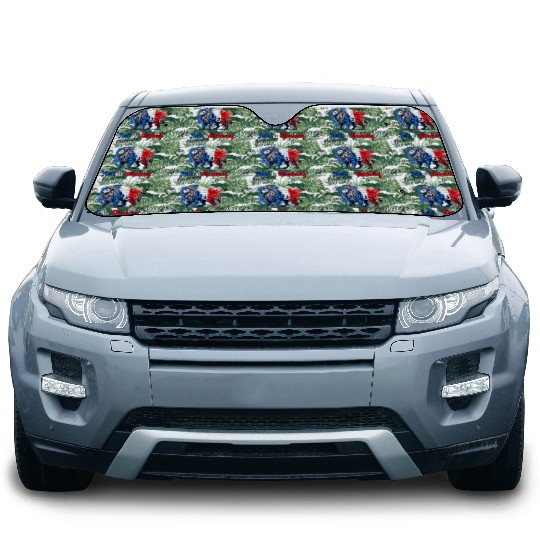 The pride of Strasbourg flag design Car Sun Shades