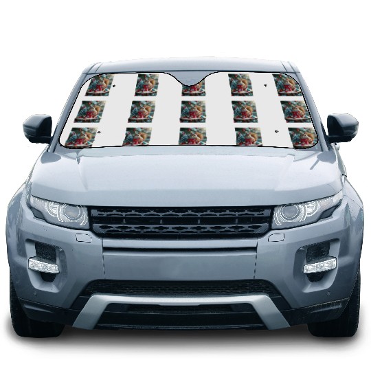 "Create Your Own Story" Car Sun Shades