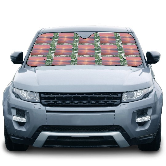 Pink Sunset Ocean Scene Car Sun Shades
