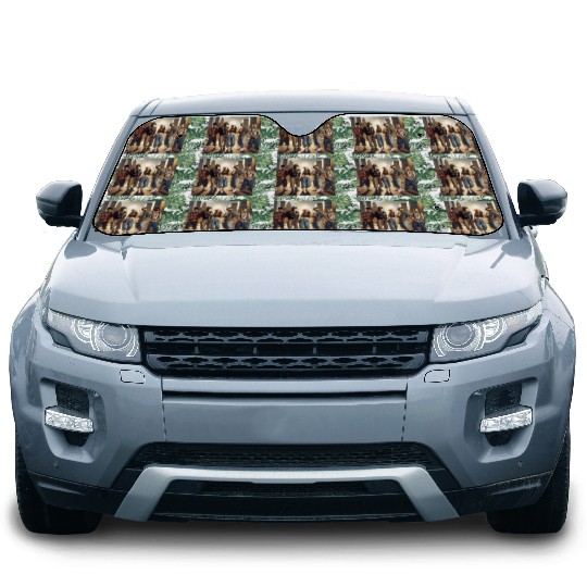 Hip-hop/Rap Car Sun Shades