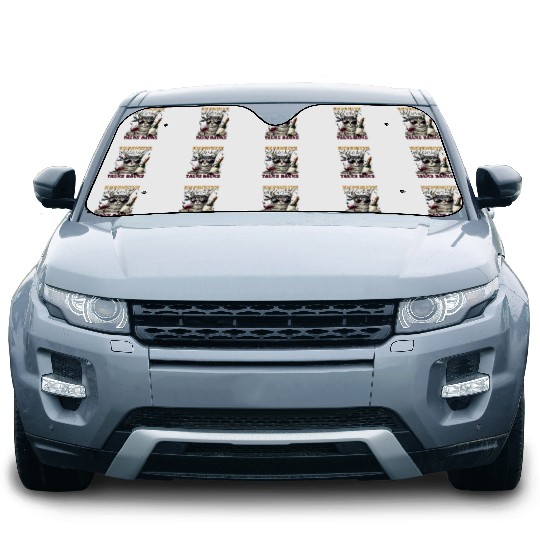 Talk Back Expensive & Difficult Car Sun Shades