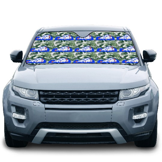 Duck Crawl Swimming Pool Water Sea Vacation Fun Car Sun Shades