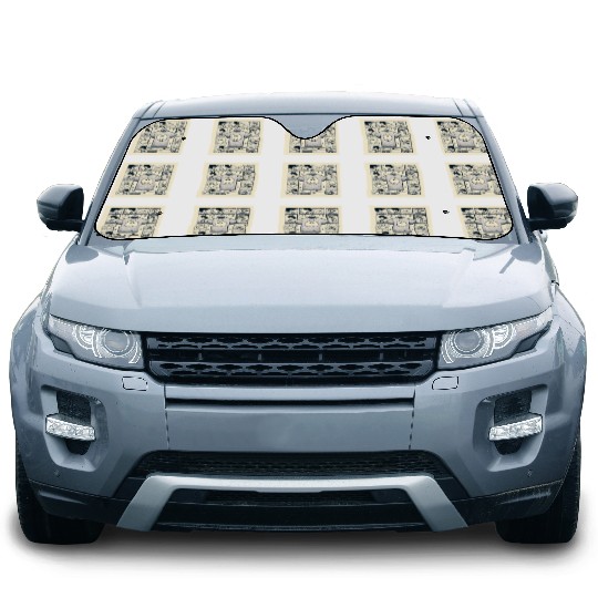 Veil of Twilight Car Sun Shades