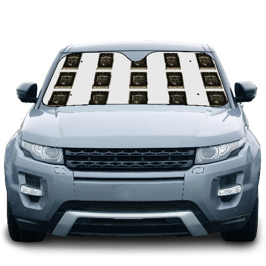 Tarot Datahoarding: The RAID Protective Layer Car Sun Shades