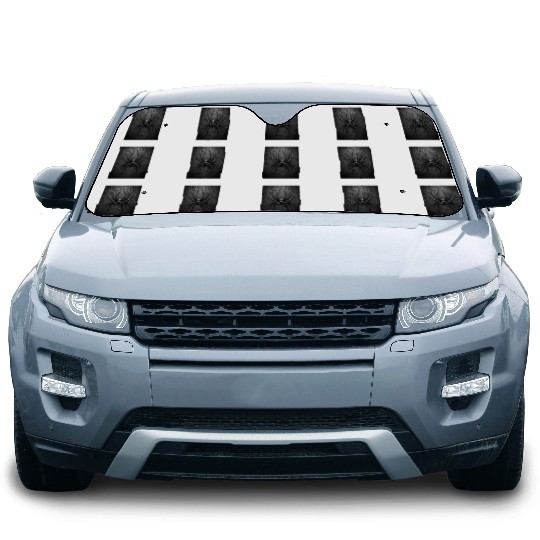 Black Widow Style Spider Art Car Sun Shades