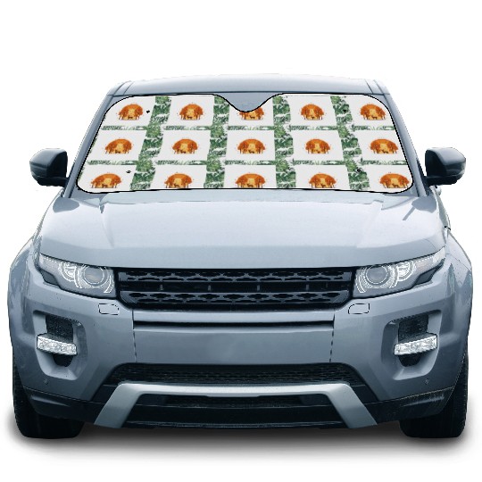 Autumn Sunset Forest Scene Car Sun Shades