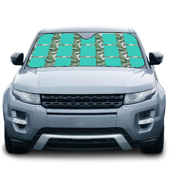 Turquoise Green-Blue Solid Color Car Sun Shades