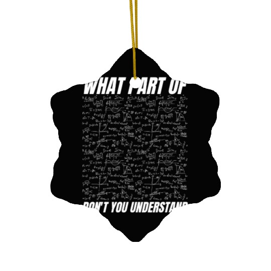 Funny Math Teacher Gift Ceramic Ornaments