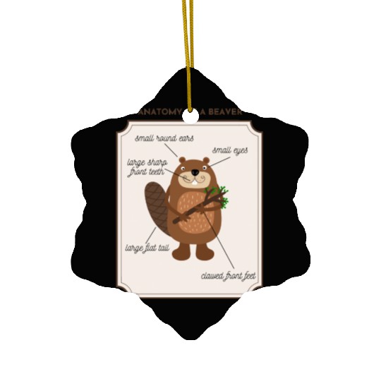 Anatomy of a Beaver Ceramic Ornaments