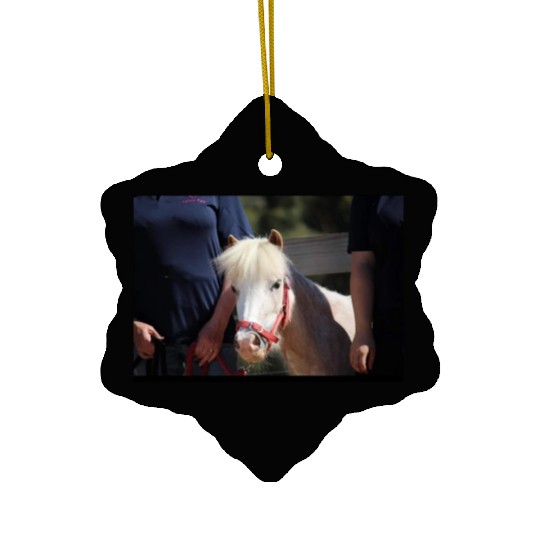 Screenshot 20220619 180220 Facebook Ceramic Ornaments