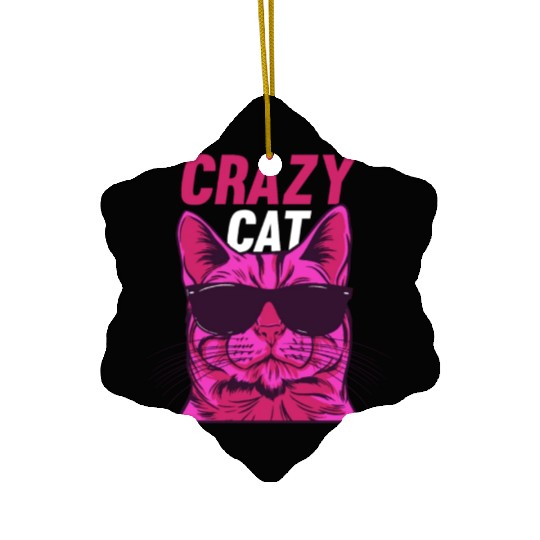 Cat Lover Cat Owner Funny Cat Meme I Crazy Cat Ceramic Ornaments